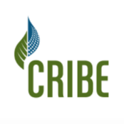 CRIBE Logo