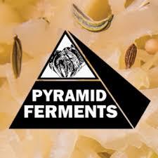 Logo - Pyramid  Farm and Ferments