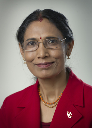 Headshot of Professor Manju Misra